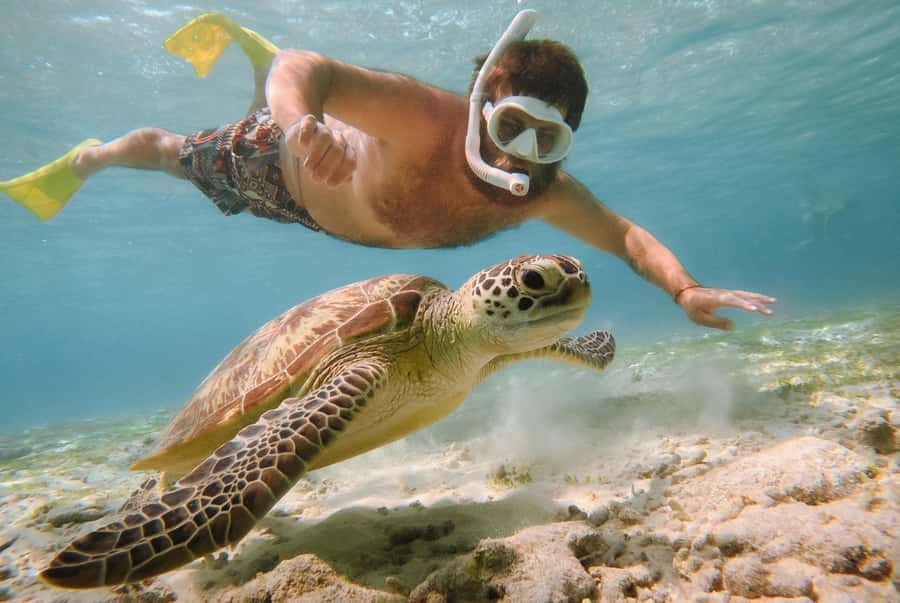 From Gili Air: Snorkeling with Turtles & Underwater Statue - Key things to know before you go