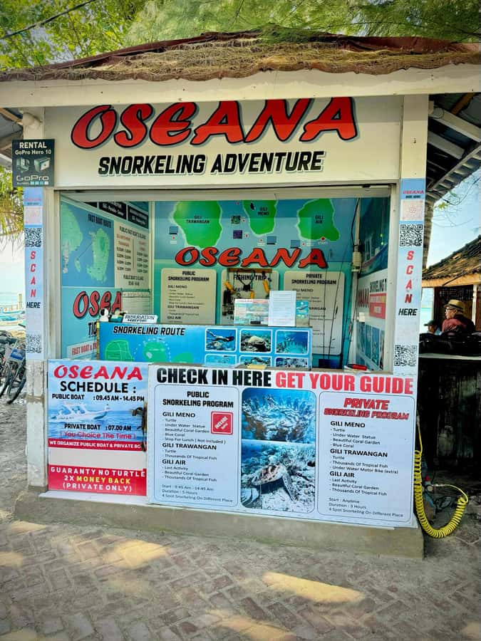From Gili Air: Snorkeling with Turtles & Underwater Statue - Who should book this tour (and who should skip it)