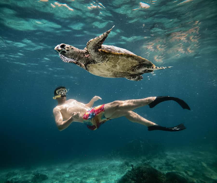 From Gili Air: Snorkeling with Turtles & Underwater Statue - Meeting at Oseana Adventure Blissful Paradise (and getting gear sorted fast)