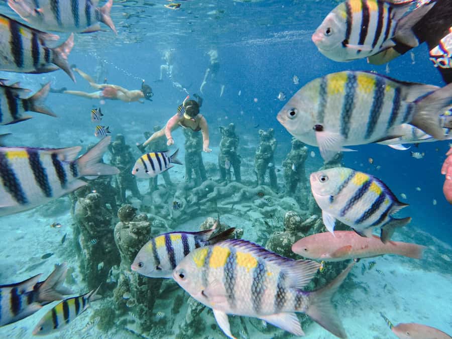 From Gili Meno: Private Snorkeling with Turtle & Statue - Key moments worth building your day around