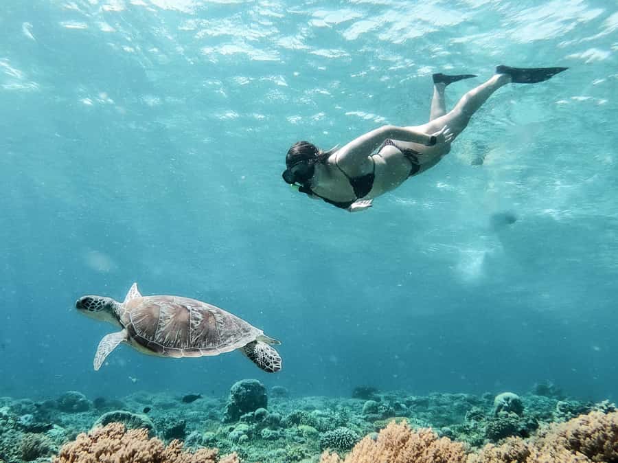From Gili Meno: Private Snorkeling with Turtle & Statue - Gili Meno snorkeling: turtles and coral in three main stops