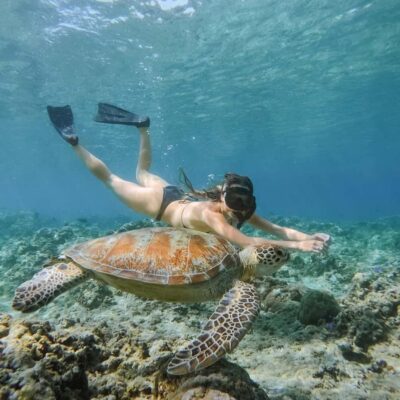 From Gili Meno: Private Snorkeling with Turtle & Statue - How the 2-, 3-, and 4-hour options change your day