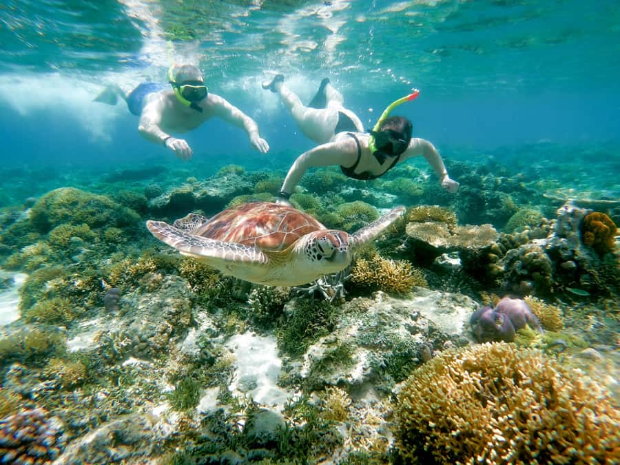 From Gili Meno: Private Snorkeling with Turtle & Statue - Gili Trawangan snorkeling: more sea life on the route