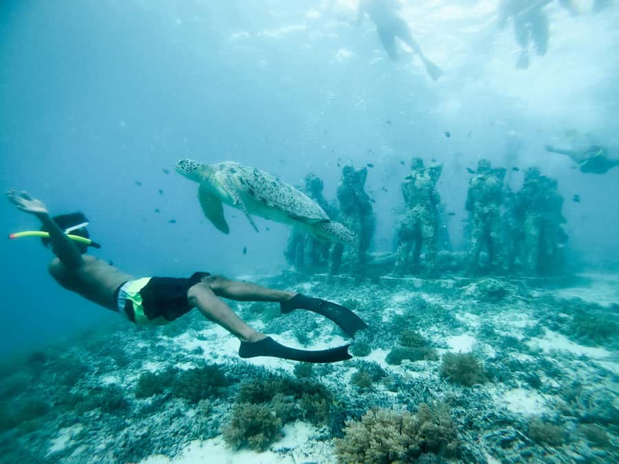 From Gili Meno: Private Snorkeling with Turtle & Statue - Gili Air mainland break: sightseeing and a walk (only on longer tours)