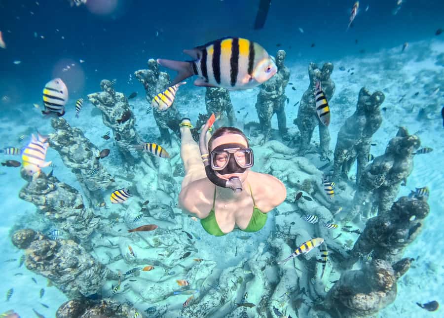 From Gili Trawangan: Gili Islands Snorkeling Boat Tour - First Step: Meeting at Sama-Sama Reggae Bar and Getting Ready Fast