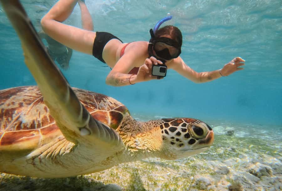 From Gili Trawangan: Gili Islands Snorkeling Boat Tour - The Boat Ride: Why a Glass-Bottom Matters More Than You Think