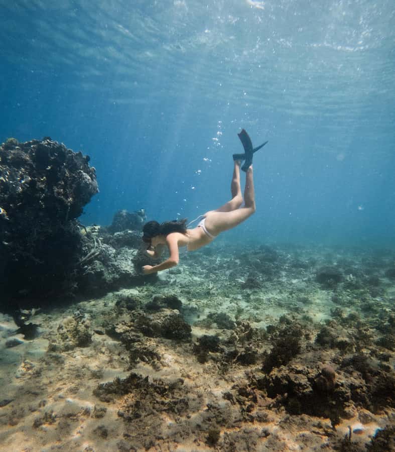 From Gili Trawangan: Gili Islands Snorkeling Boat Tour - The GoPro Footage: Included, but Know What Shared Means