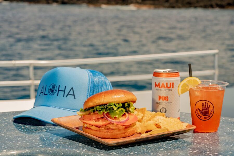 From Hawaii: Eco-Friendly Snorkeling Experience with BBQ - Final Call: Should You Book Body Glove Cruises in Kailua-Kona?