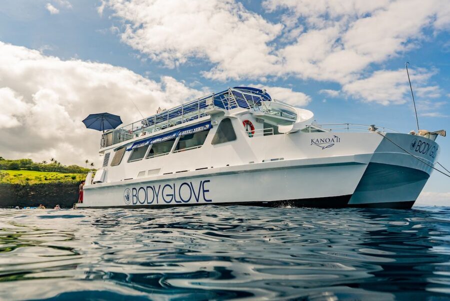 From Hawaii: Eco-Friendly Snorkeling Experience with BBQ - Dolphins and Marine Life: Enjoy the Chances, Not the Guarantees