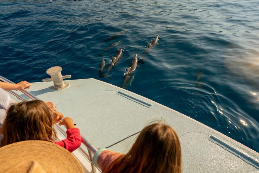 From Hawaii: Eco-Friendly Snorkeling Experience with BBQ - Price and Value Check: What You Really Get for $194