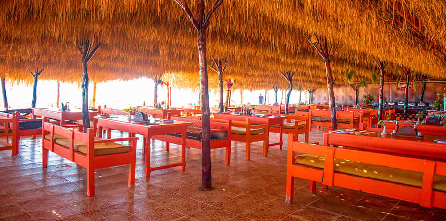 From Hurghada: Paradise Island Snorkeling Cruise with Lunch - What to Bring (and What to Avoid) for a Smooth Day