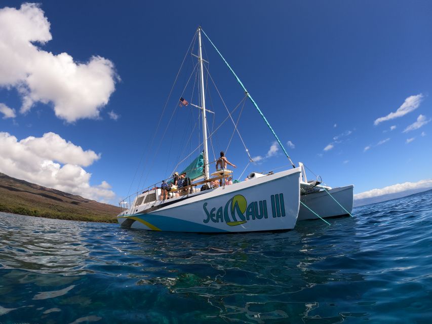 From Ka'anapali: West Maui Half-Day Snorkel Tour w/ Food - Breakfast on the way out: fuel for dolphins, whales, and first-timer nerves