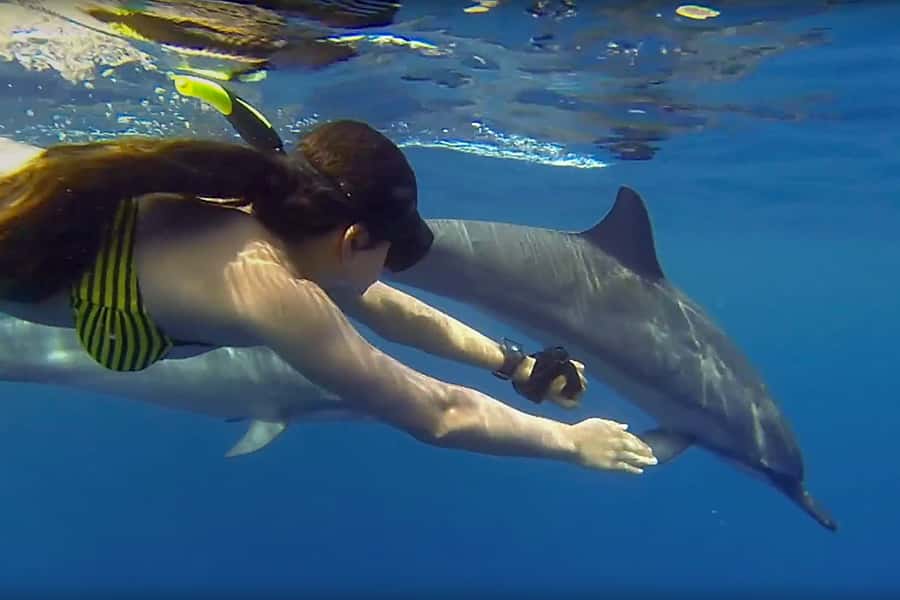 From Kendwa: Mnemba Boat Trip and Dolphin Snorkel Adventure - Key things I’d note before you book