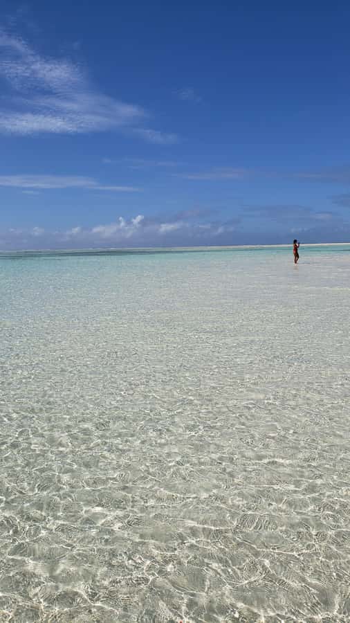 From Kendwa: Mnemba Boat Trip and Dolphin Snorkel Adventure - Why Mnemba Atoll is worth the short, early start