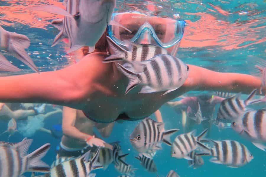 From Kendwa: Mnemba Boat Trip and Dolphin Snorkel Adventure - Snorkeling around Mnemba Atoll’s reef: colorful fish, clear water, and starfish chances