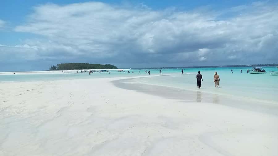 From Kendwa: Mnemba Boat Trip and Dolphin Snorkel Adventure - Who should book this tour (and who should skip it)