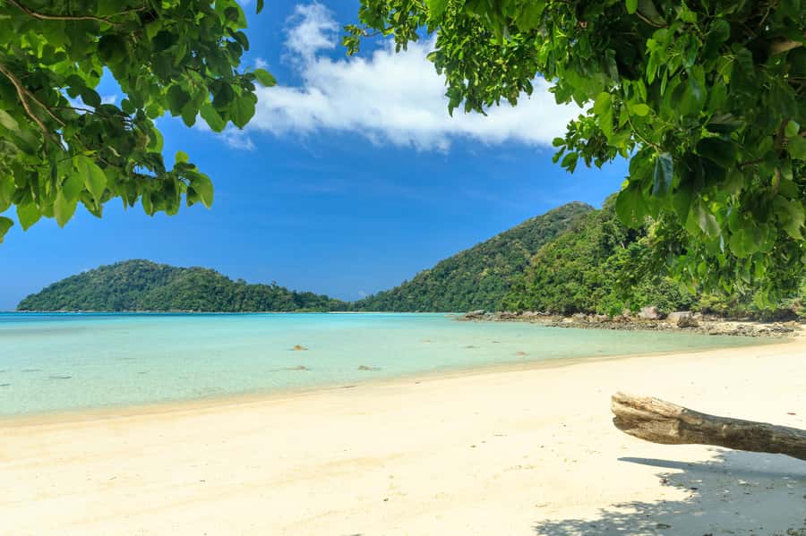 From Khao Lak: Full-Day Snorkeling in the Surin Islands - Speedboat reality check: choppy water, loud engines, and motion sickness prep
