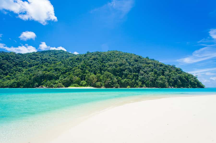 From Khao Lak: Full-Day Snorkeling in the Surin Islands - Moken village (Morgan) stop: human scale culture, but keep expectations realistic