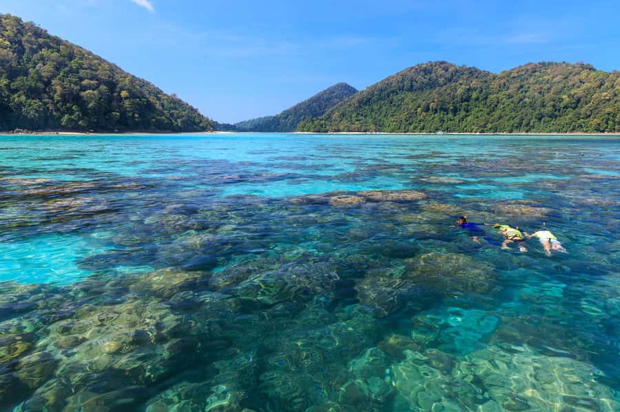 From Khao Lak: Full-Day Snorkeling in the Surin Islands - Timing issues and drop-off mix-ups: how to avoid losing an hour