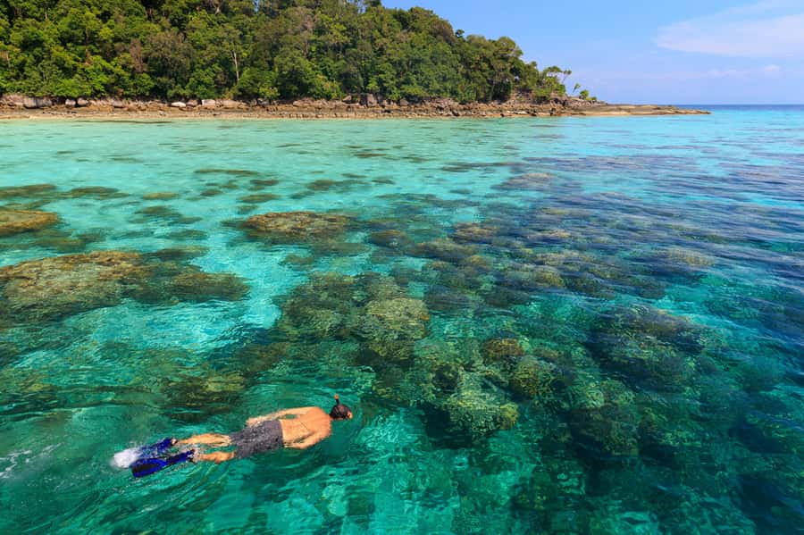 From Khao Lak: Full-Day Snorkeling in the Surin Islands - Price and value: what $122 buys you (and what it doesn’t)