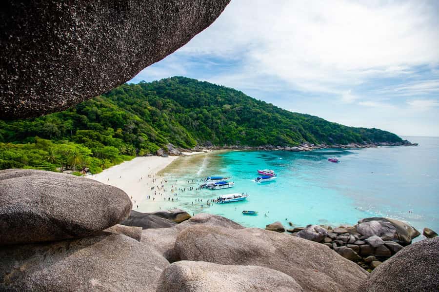 From Khao Lak: Similan Islands Snorkeling Trip with Lunch - Koh Payu (Island No. 7): coral and action where you’ll want to pay attention