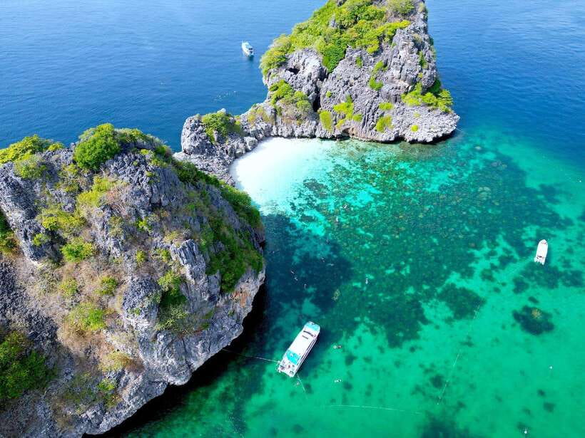 From Koh Lanta: Koh Haa & Koh Rok Snorkel Tour by Speedboat - Key things that make this tour worth your time