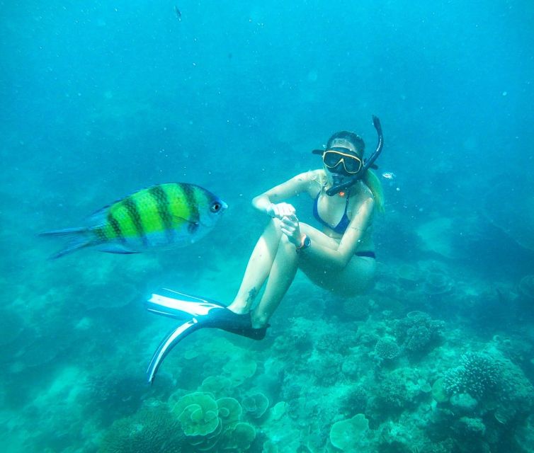 From Koh Lanta: Koh Haa & Koh Rok Snorkel Tour by Speedboat - Koh Rok Noi: limestone cliffs and Nemo-style clownfish chances