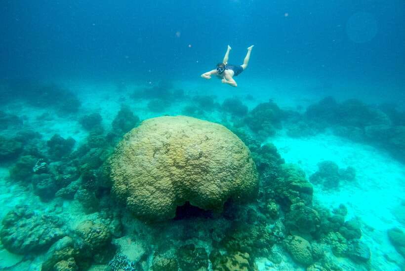 From Koh Lanta: Koh Haa & Koh Rok Snorkel Tour by Speedboat - Group size and comfort: expect people, but not chaos
