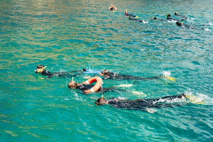 From L’Estartit: Snorkeling Trip to the Medes Islands - Snorkeling the Medes Islands: Best Spots, Fish, and Seeing the Underwater Plants