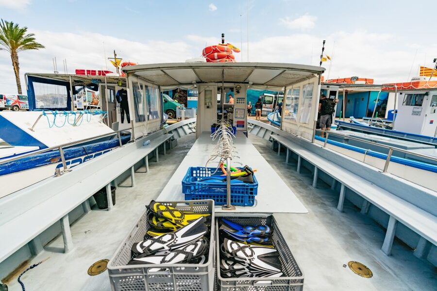 From L’Estartit: Snorkeling Trip to the Medes Islands - Timing, Weather, and Crowds: How to Get Better Value from 2 to 2.5 Hours