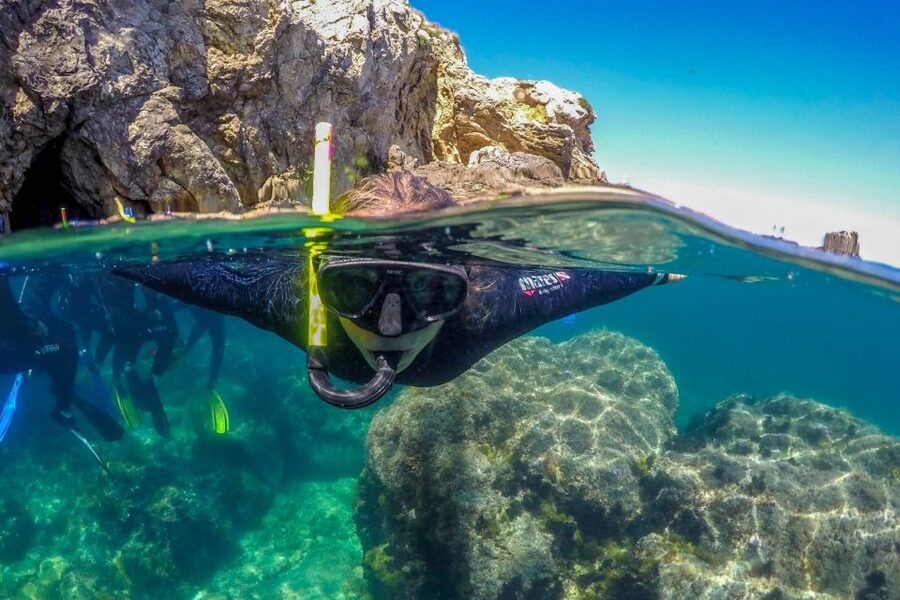 From L’Estartit: Snorkeling Trip to the Medes Islands - Who This Tour Fits Best (and Who Should Think Twice)