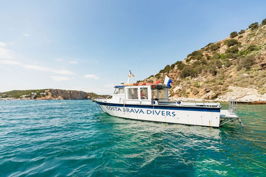 From L’Estartit: Snorkeling Trip to the Medes Islands - Gear Setup and Eco-Briefing: How the Tour Makes Snorkeling Feel Simple