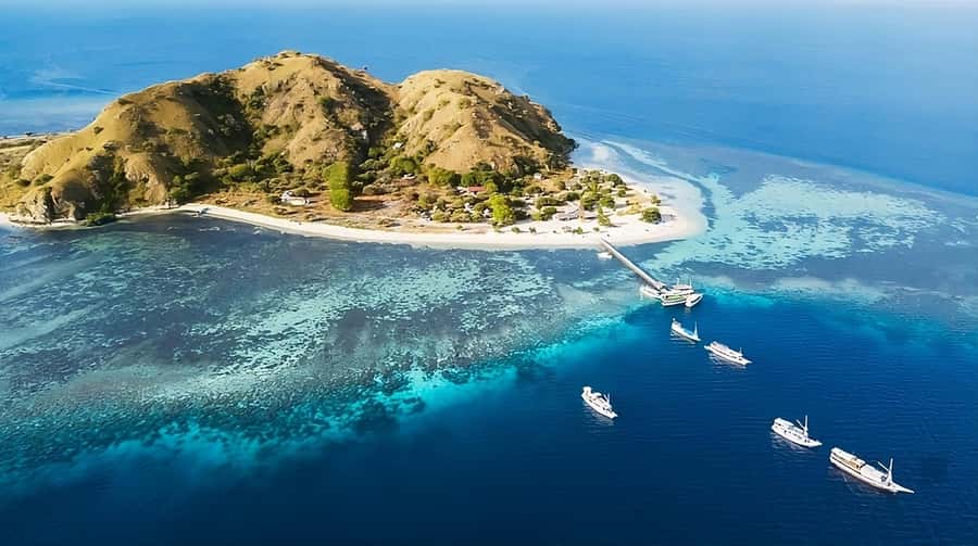 From Labuan Bajo: Komodo Island Day Tour with Snorkeling - Pink Beach Time: Swim, Snorkel, and Time Your Photos