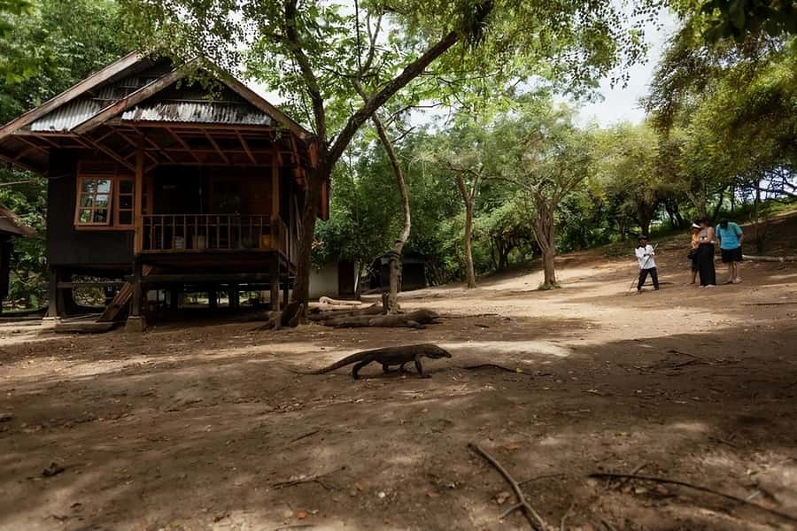 From Labuan Bajo: Komodo Island Day Tour with Snorkeling - What’s Included on Board (and What You Pay Onsite)