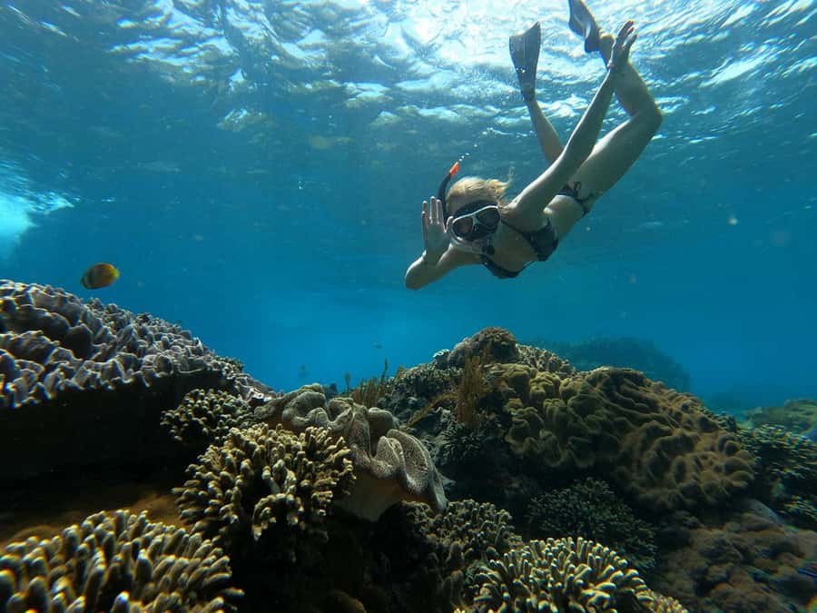 From Lembongan: Manta Point Snorkeling & West Penida Tour - Practical tips that make the day smoother