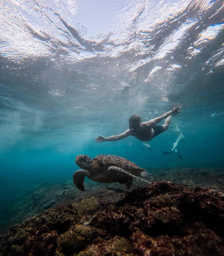 From Lembongan: Manta Point Snorkeling & West Penida Tour - FAQ