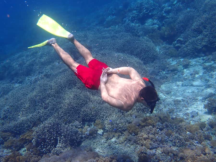 From Lembongan: Nusa Penida Snorkeling Day Trip - Key things that make this Lembongan-to-Penida snorkel trip work