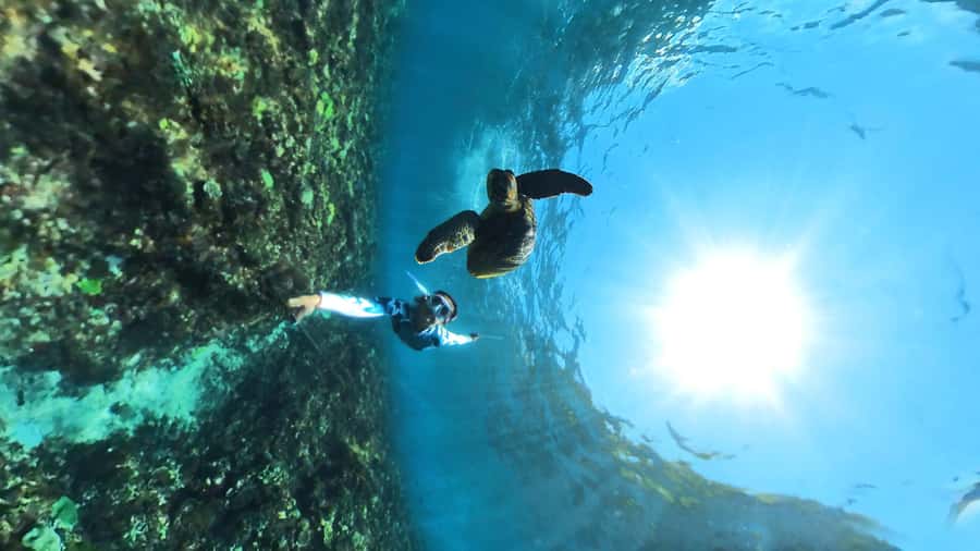 From Lembongan: Nusa Penida Snorkeling Day Trip - How Lembongan gets you to Nusa Penida without the stress
