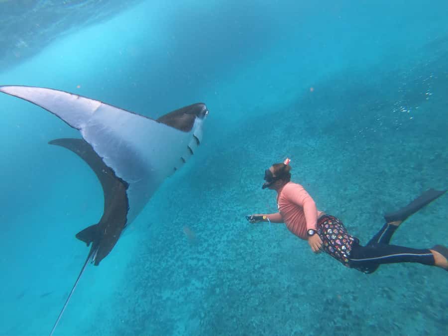 From Lembongan: Nusa Penida Snorkeling Day Trip - The manta stop: Manta Bay timing and what safety really means