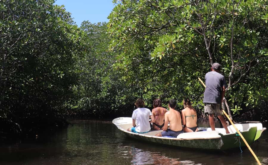 From Lembongan: Snorkeling 3 Spots, Mangrove and Land Tour - Getting on the water from Lembongan: pickup, boat ride, and what to expect