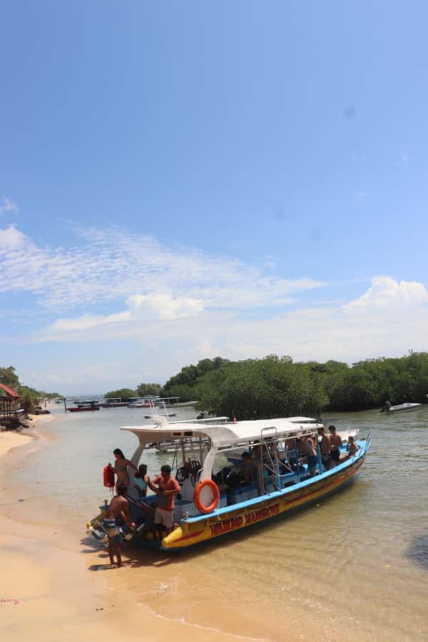 From Lembongan: Snorkeling 3 Spots, Mangrove and Land Tour - Gondola ride and guided land tour: what you get beyond snorkeling