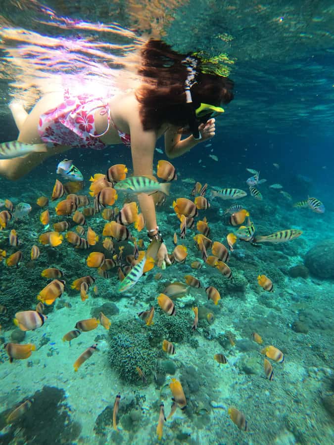 From Lembongan: Snorkeling 3 Spots, Mangrove and Land Tour - Should you book this Lembongan snorkeling + mangrove and land tour?