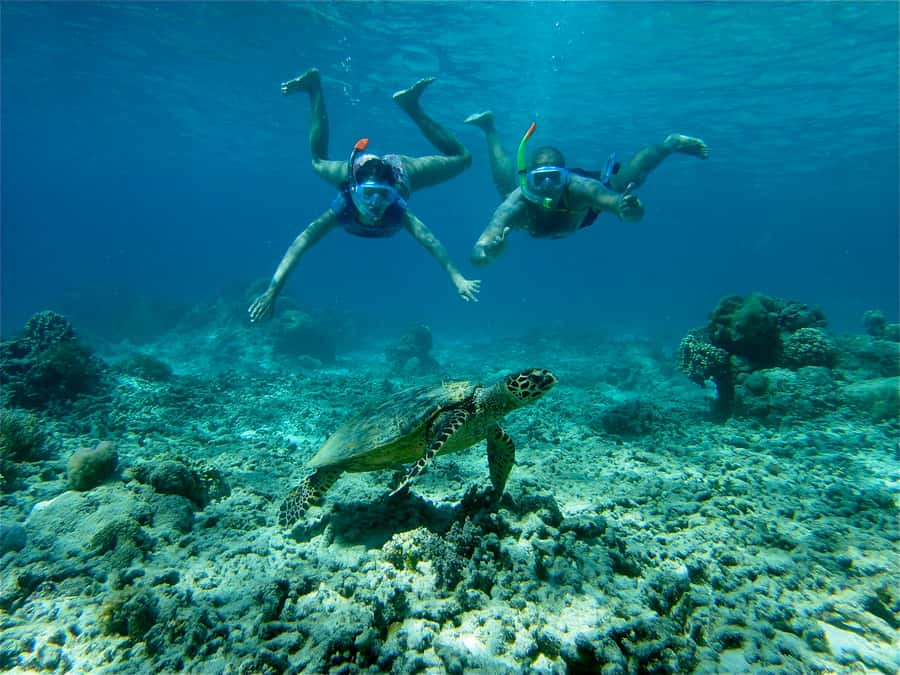 From Lombok: Gili Islands Snorkeling Day Trip - Lombok Straight views make the boat ride feel worth it