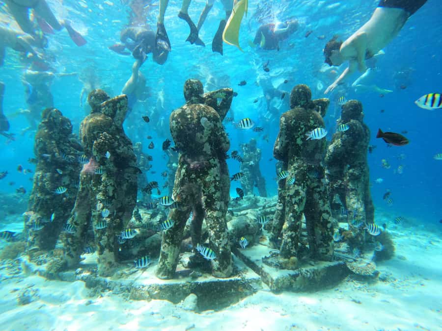 From Lombok: Gili Islands Snorkeling Day Trip - Gili Meno: reef scenery plus underwater sculptures