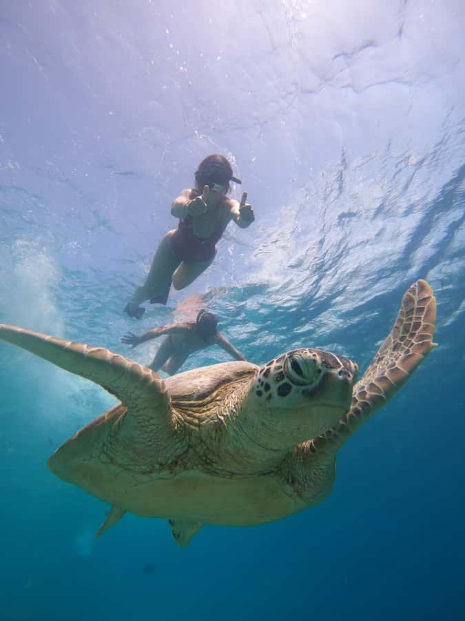 From Lombok: Gili Islands Snorkeling Day Trip - Included gear and comfort tips that actually help