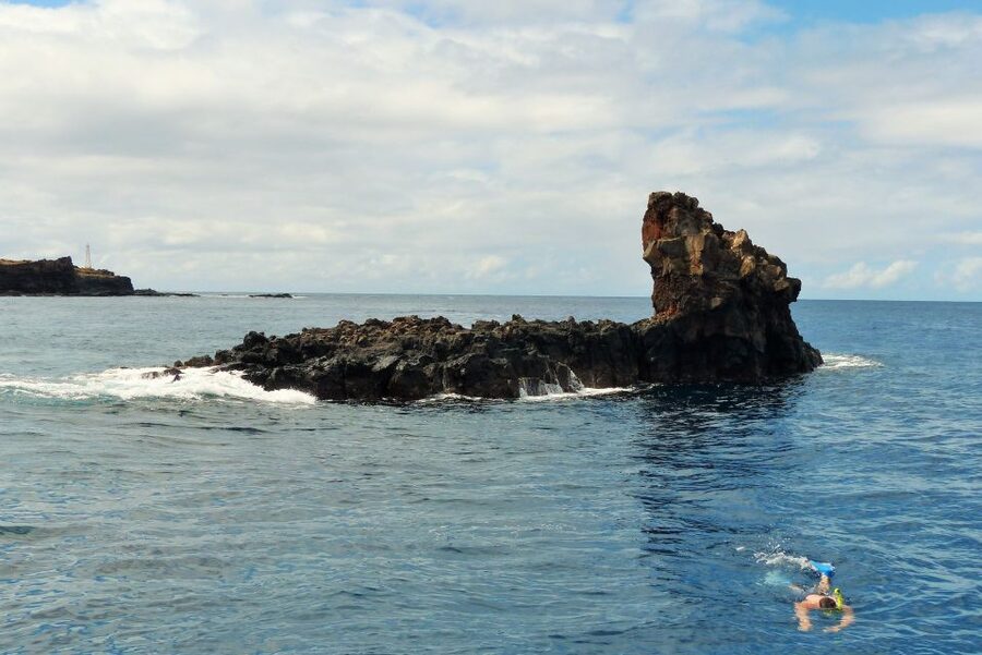 From Ma'alaea: AM Turtle Town Snorkel Aboard Quicksilver - Choosing the day’s snorkel plan: Turtle Town vs Coral Gardens