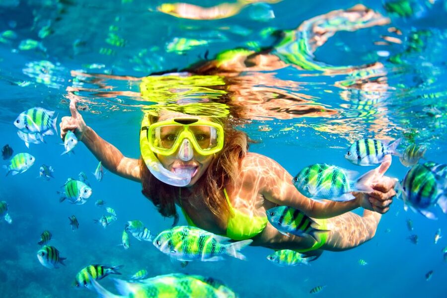 From Ma'alaea: Turtle Town Snorkel aboard Quicksilver - The open-ocean show: sun deck views plus the waterslide and jumping platform