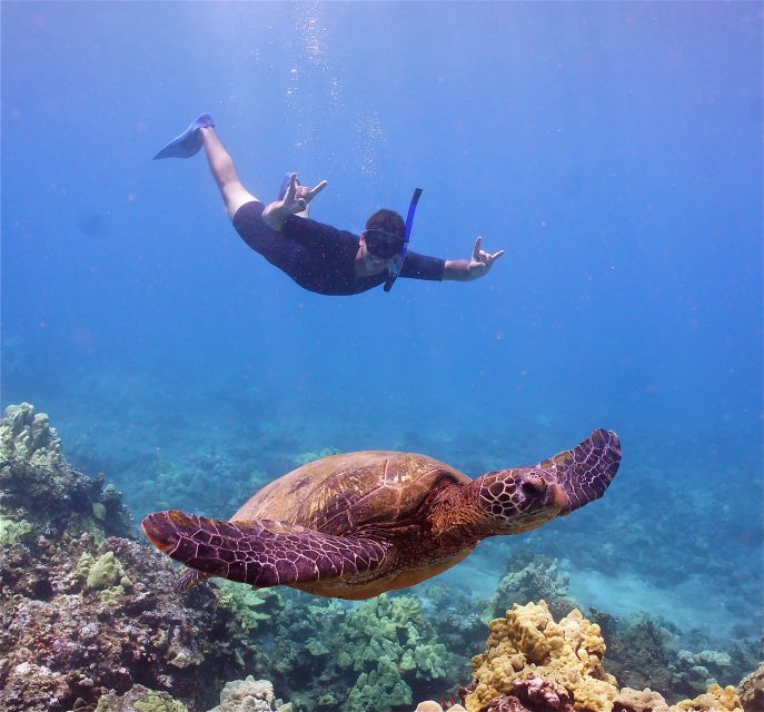 From Ma'alaea: Turtle Town Snorkel aboard Quicksilver - Getting on board: Boss Frog’s check-in, parking, and what to bring