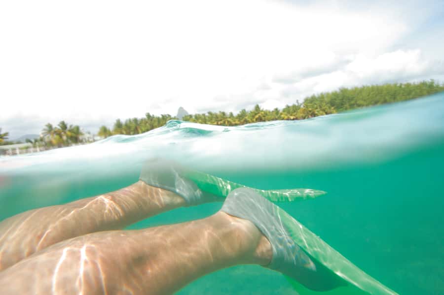 From Miami: Key West with Dolphin Watch or Snorkel Boat - Snorkel tour with drinks: 3 hours, basic gear, and calmer moments