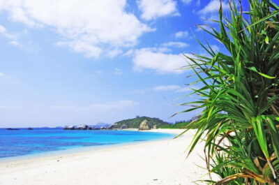From Naha: Snorkeling Tour to Kerama by Ferry - The Sea Friend Shuttle and Aharen Beach Break